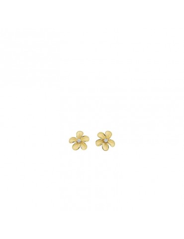 CAMMILLI GOR3766U