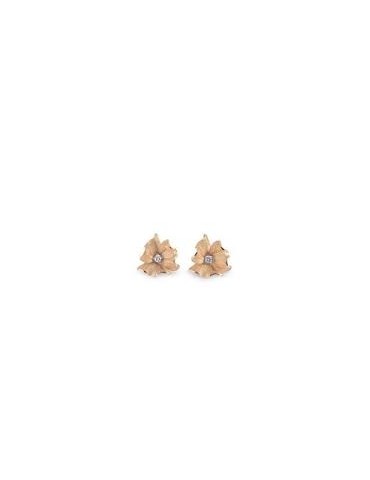 CAMMILLI GOR0966J